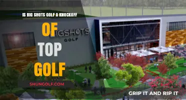 Exploring the Similarities and Differences: Big Shots Golf vs. Topgolf