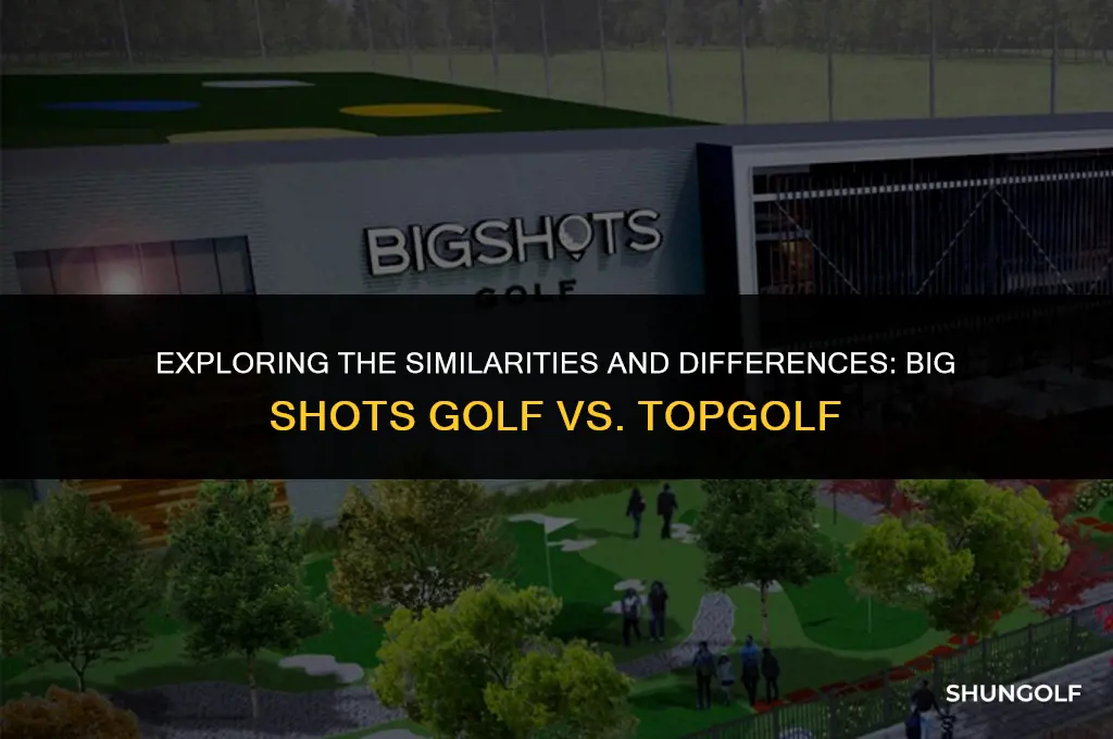 is big shots golf a knockoff of top golf