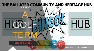 Golf's Bingo: What Does It Mean?