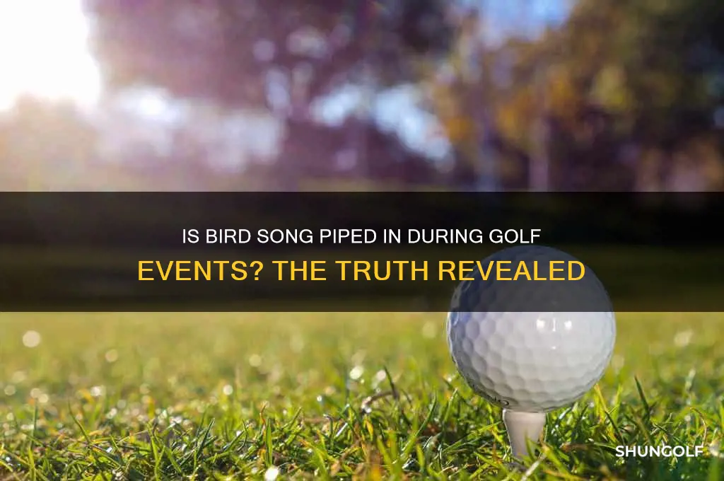 is bird song piped in during golf events