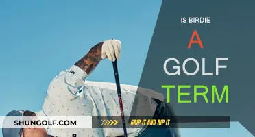Golf Birdie: What Does It Mean?