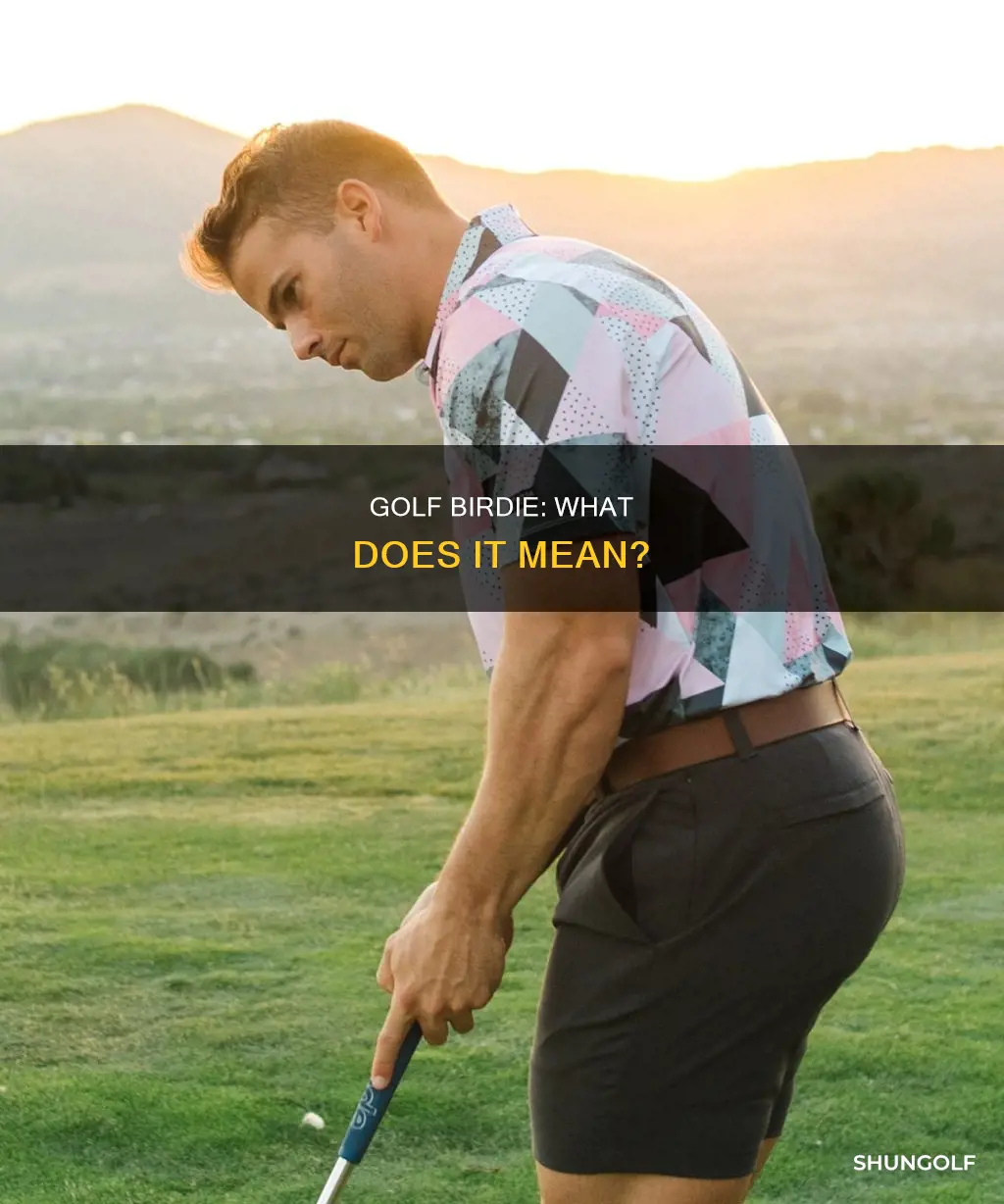 is birdie a golf term