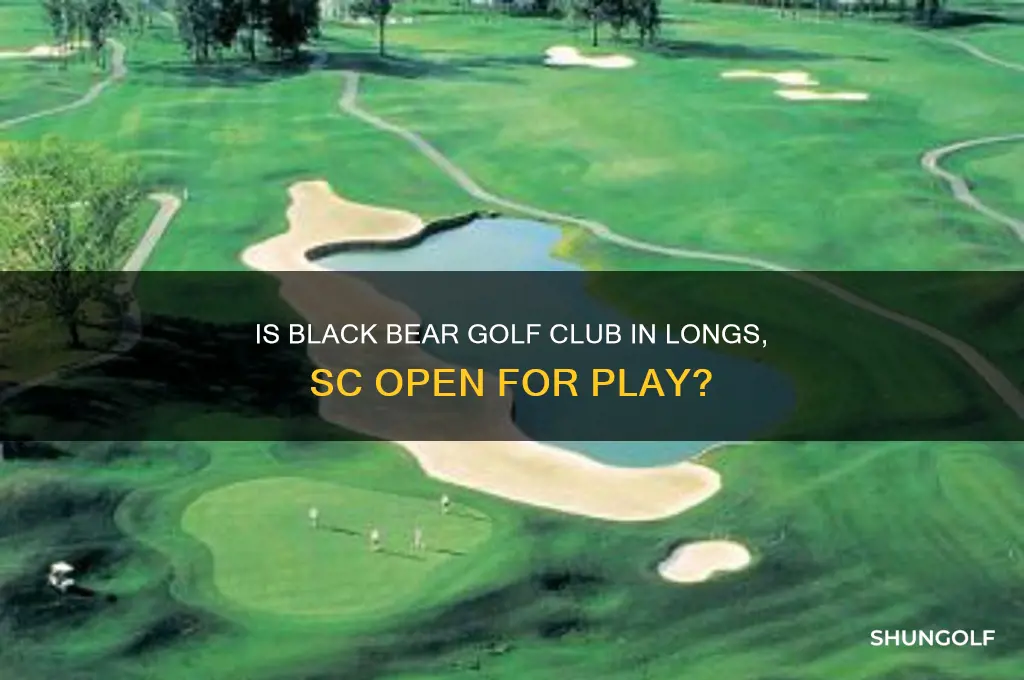 is black bear golf club longs sc open