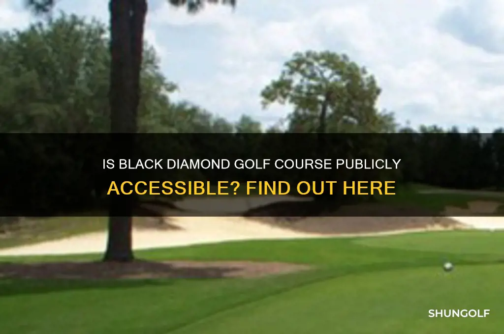 is black diamond golf course open to the public