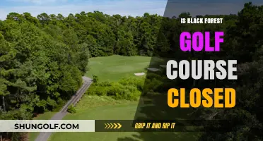 Is Black Forest Golf Course Closed? Current Status and Updates