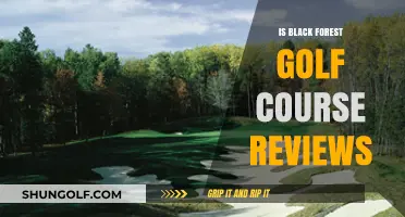 Black Forest Golf Course Reviews: Unveiling the Ultimate Golfing Experience