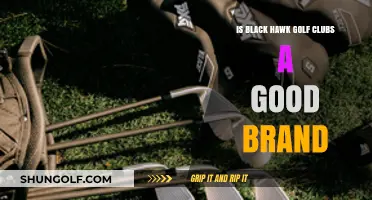 Black Hawk Golf Clubs Review: Quality, Performance, and Value Explored
