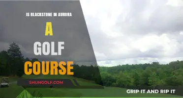 Exploring Blackstone in Aurora: Golf Course or Residential Community?