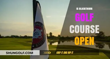 Is Blackthorn Golf Course Open? Current Status and Updates