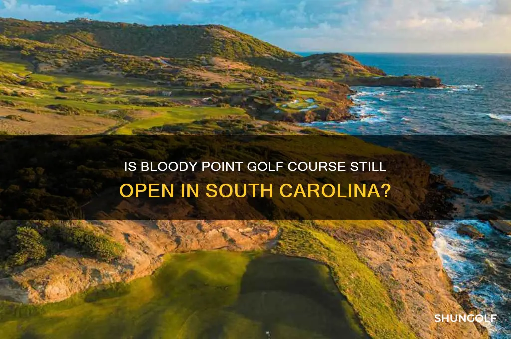 is bloody point golf course srtill open in sc