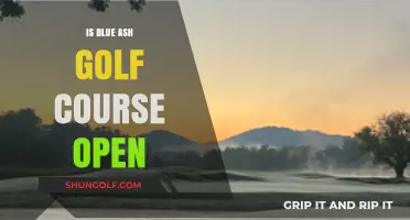 Is Blue Ash Golf Course Open? Current Status and Updates