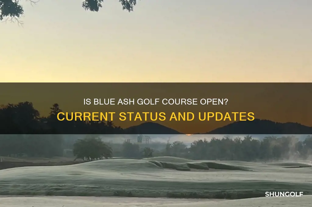 is blue ash golf course open