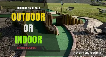 Blue Fox Mini Golf: Indoor or Outdoor Adventure?