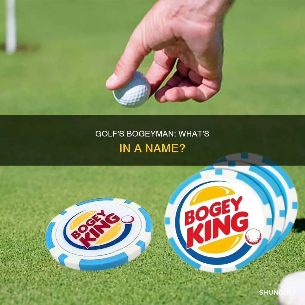 is bogey a golf term