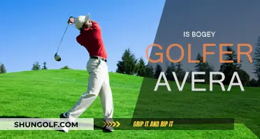 What Defines Average Golfers: Bogey Golfers