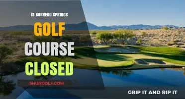Is Borrego Springs Golf Course Closed? Current Status and Updates