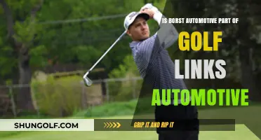 Is Borst Automotive Affiliated with Golf Links Automotive? Unraveling the Connection