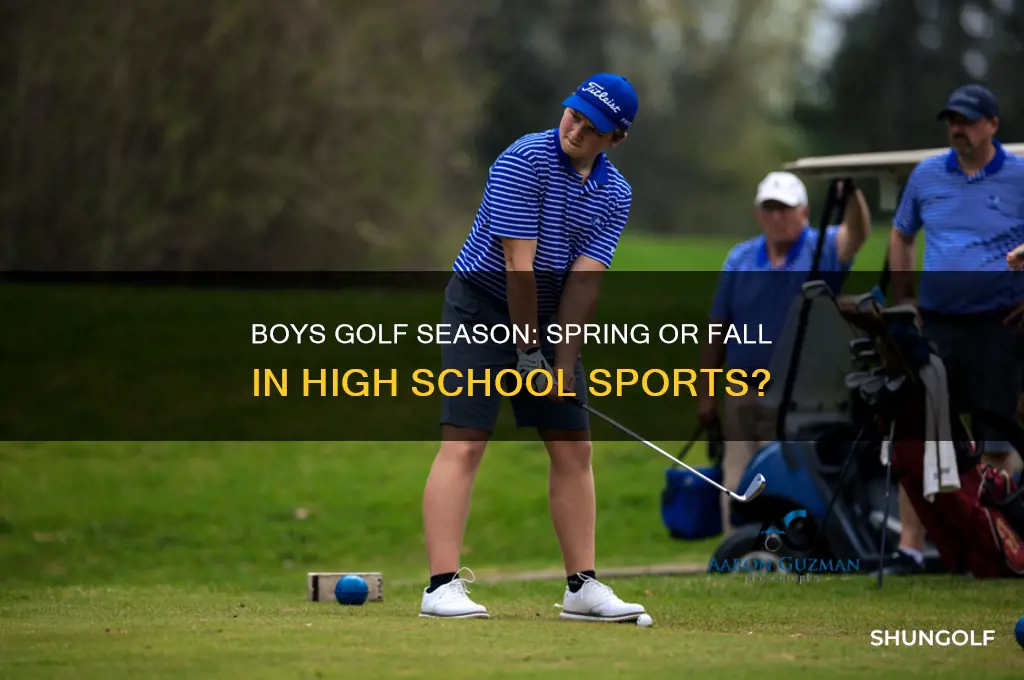 is boys golf high school spring or fall sport