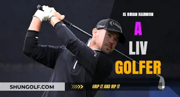 Exploring Brian Harmon's Golf Career: Is He Still Active?