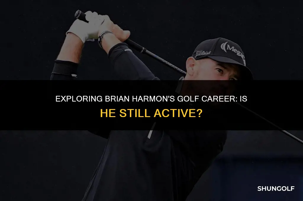 is brian harmon a liv golfer