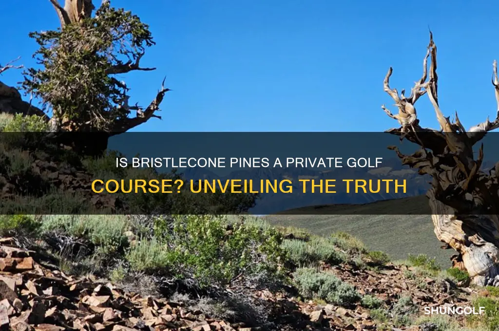 is bristlecone pines a private golf course