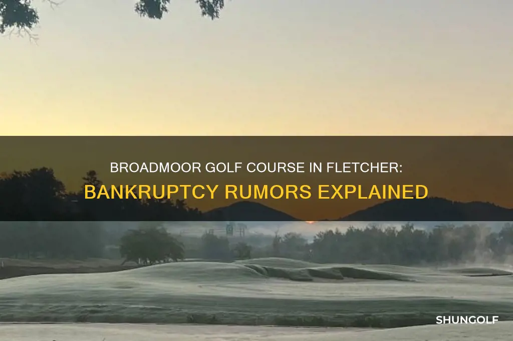 is broadmoor golf course in fletcher in bankruptcies