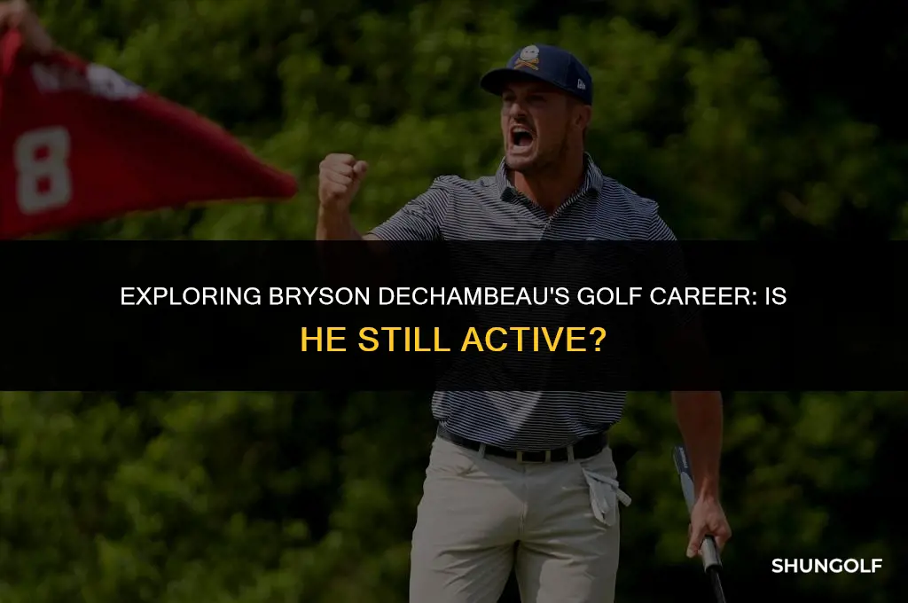 is bryson a liv golfer