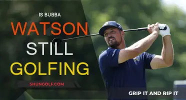 Bubba Watson: Still Golfing, Still Winning