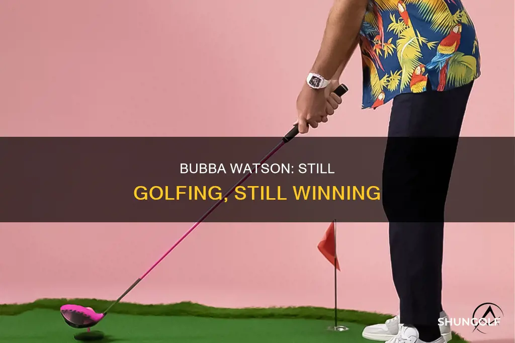 is bubba watson still golfing
