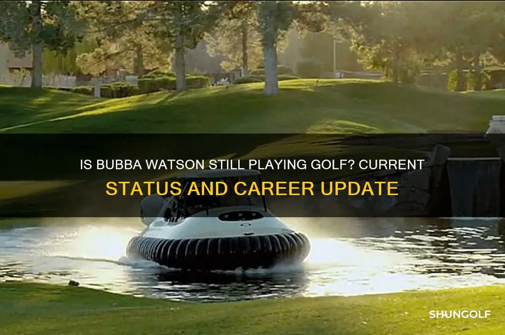 is bubba watson still playing golf