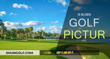 Golf's Busen Picture: A Sporty Scandal