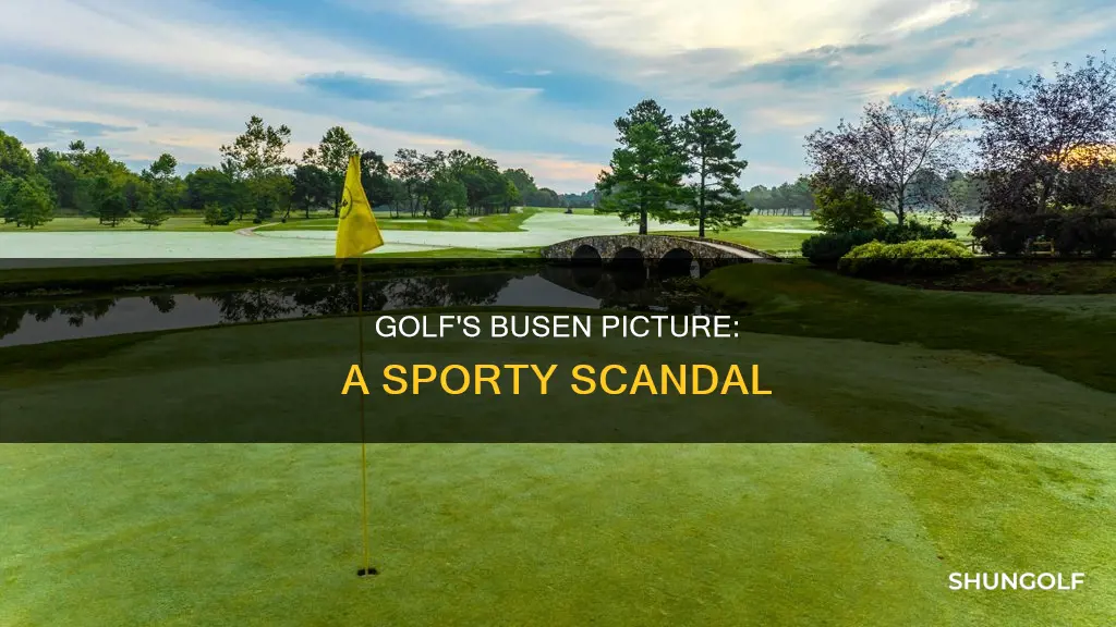 is busen golf picture