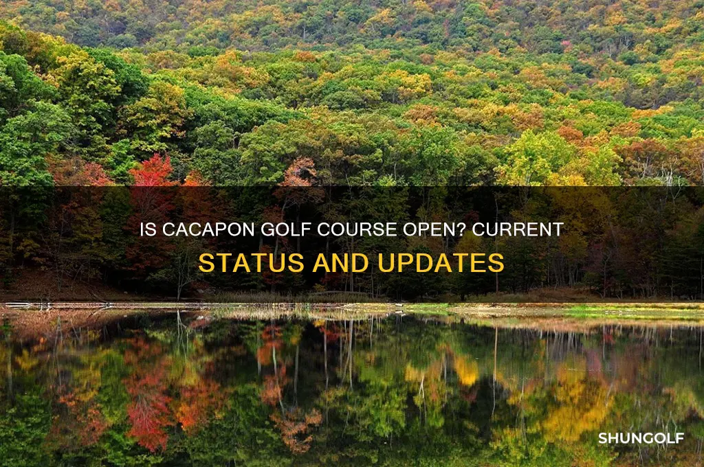 is cacapon golf course open
