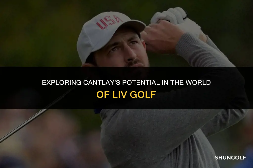 is cantlay a liv golf
