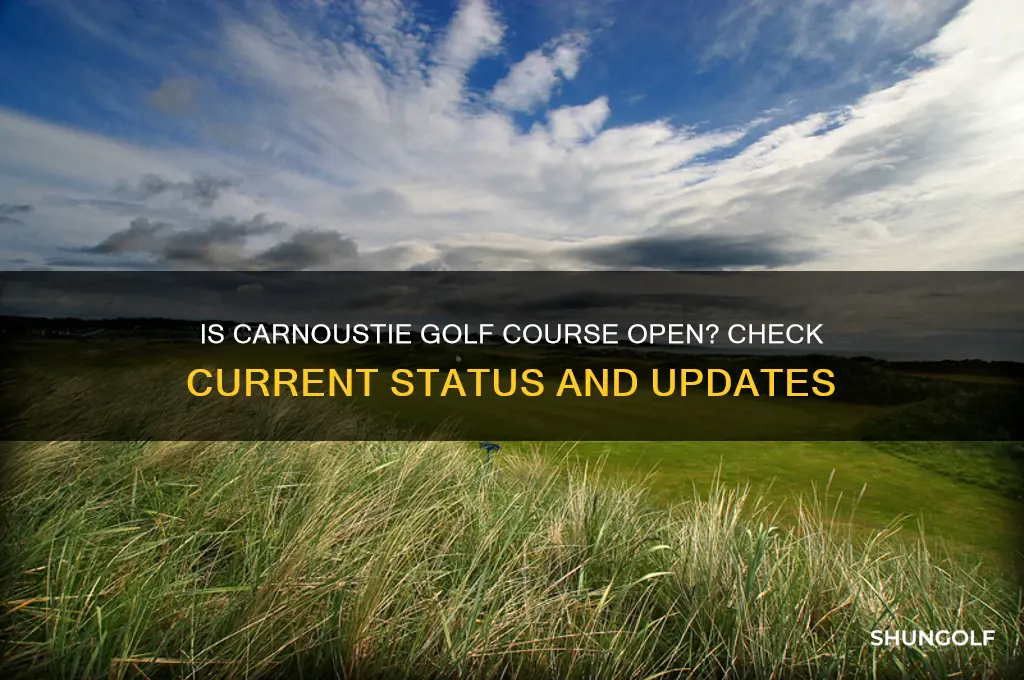 is carnoustie golf course open