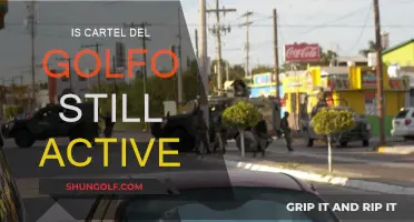 The Enduring Presence of Cartel Del Golfo