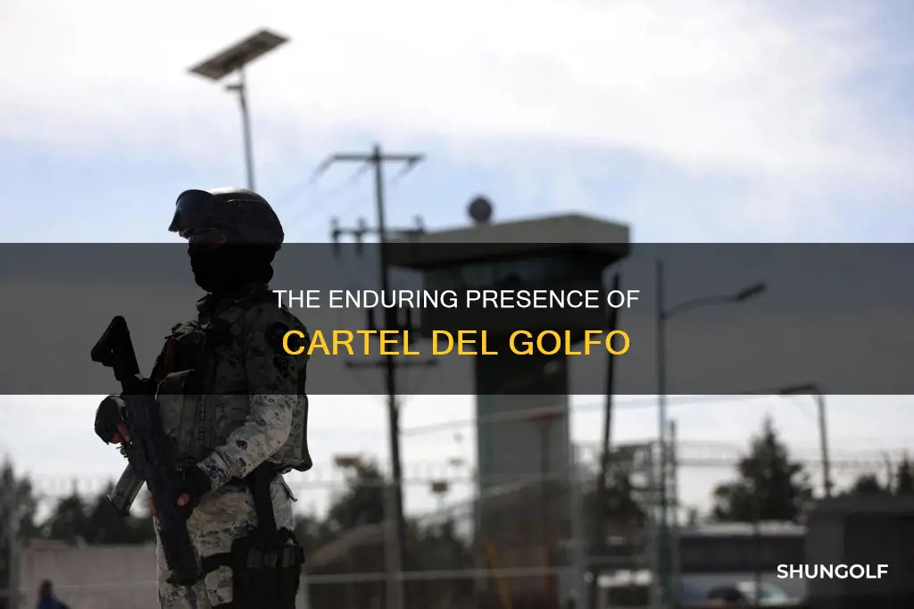 is cartel del golfo still active