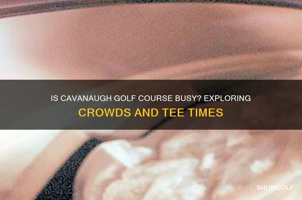 is cavanaugh golf course busy