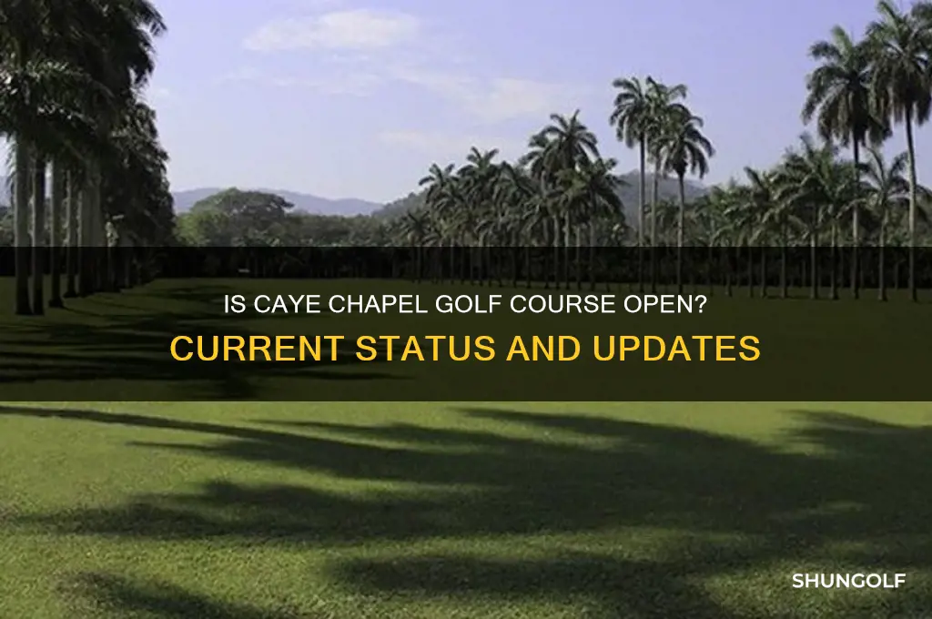 is caye chapel golf course open