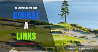 Is Chambers Bay a True Links Course? Exploring Its Design and Features