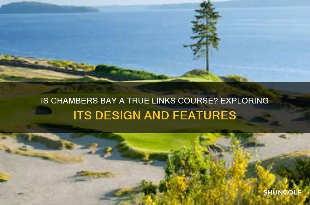 is chambers bay golf course a links