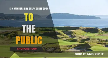 Chambers Bay Golf Course: Public Access and Current Status Explained
