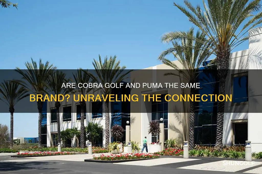 is cobra golf and puma the same
