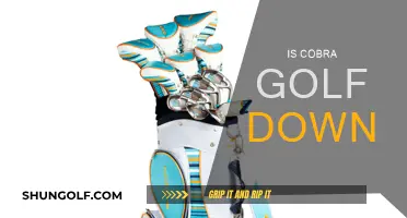 Cobra Golf: Is the Brand Experiencing a Downfall?