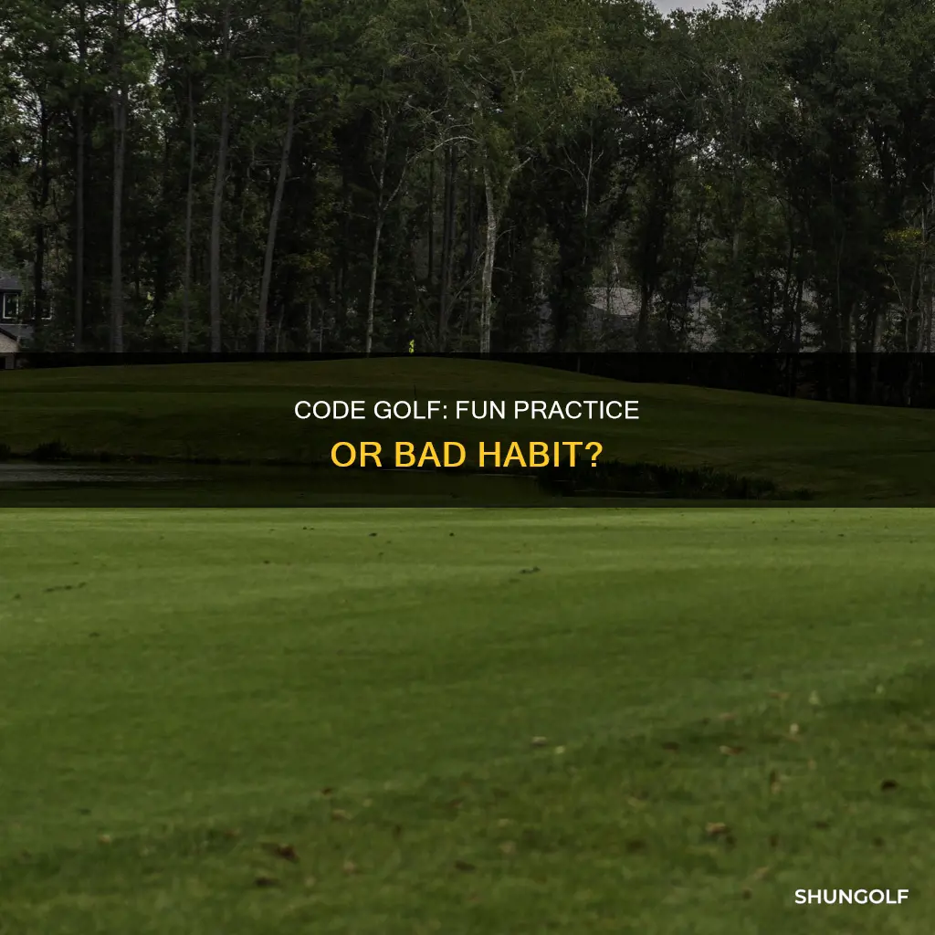 is code golf badbpractice