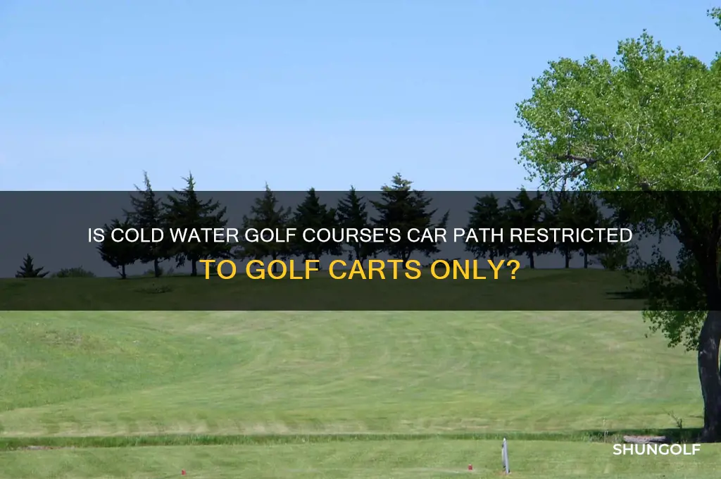 is cold water golf course car path only