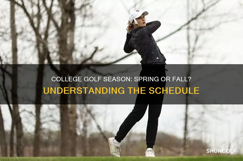 is college golf a spring or fall sport