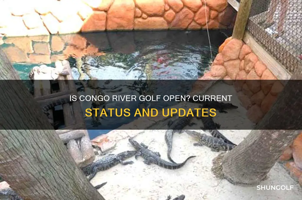 is congo river golf open