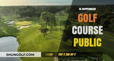 Is Copperhead Golf Course Public? Exploring Access and Membership Details