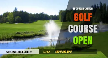 Is Cougar Canyon Golf Course Open? Current Status and Updates